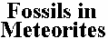 Richard Hoover's 2011 JoC paper: 4.9Mb PDF