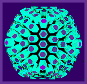 Herpesvirus