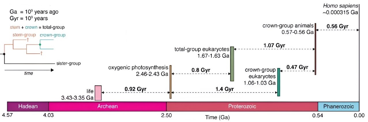 ...evolution on Earth is set by global environmental processes