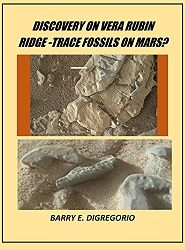 Trace Fossils on Mars?