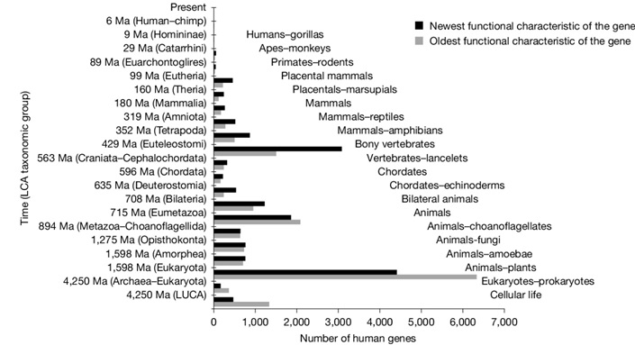 A compendium of human gene functions derived from evolutionary modelling