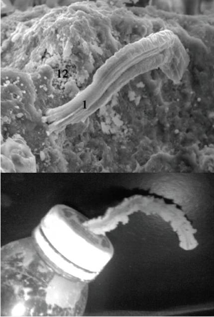 Hoover's filaments vs. Fries's clay extrusion