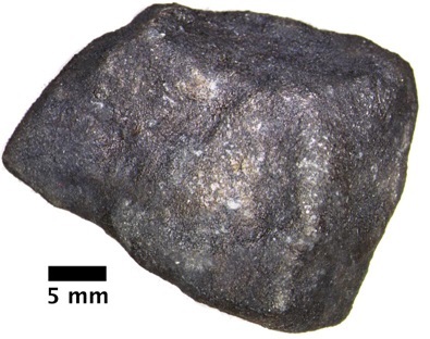 A fragment of the Hamburg meteorite