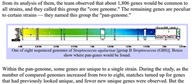Common bacteria share an infinite gene pool?!
