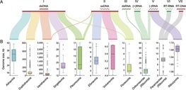 Viruses are ubiquitous mobile genetic elements....