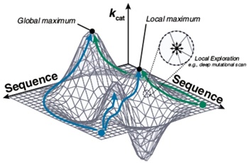 exploration of a rugged catalytic landscape