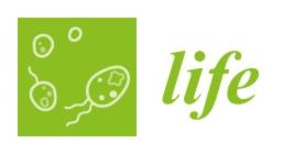 Life journal logo