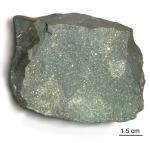 Murchison meteorite