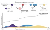 The ...different mechanisms that expanded the genome between FECA and LECA