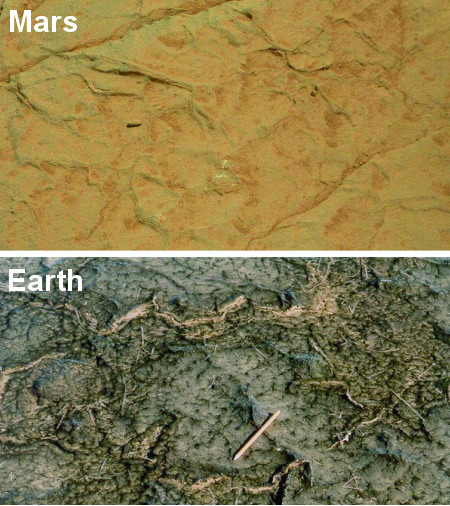 Comparison of cracks in Gillespie Lake outcrop on Mars and in a modern microbial mat in Bahar Alouane, Tunisia.