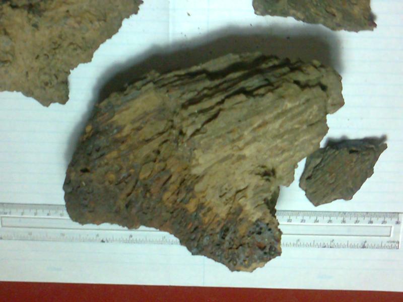 Fragments of the Polonnaruwa meteorite with fusion crust